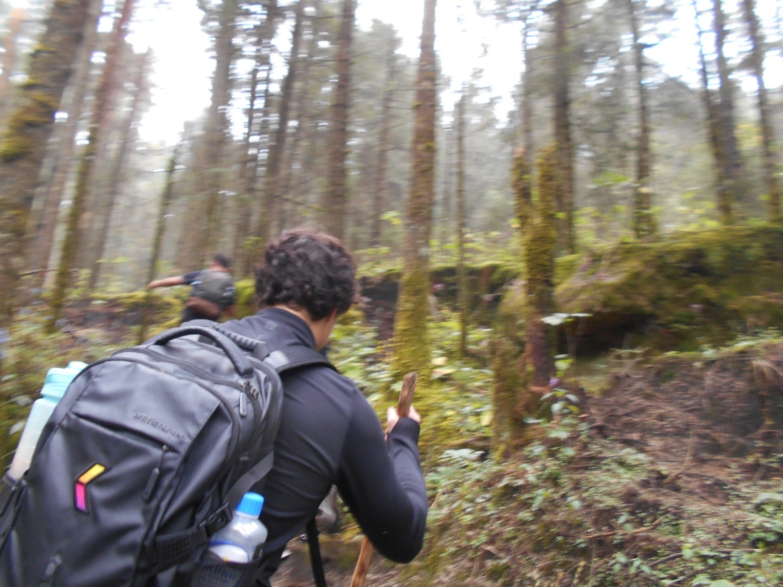 Hiking through mossy woods, motion blur and all